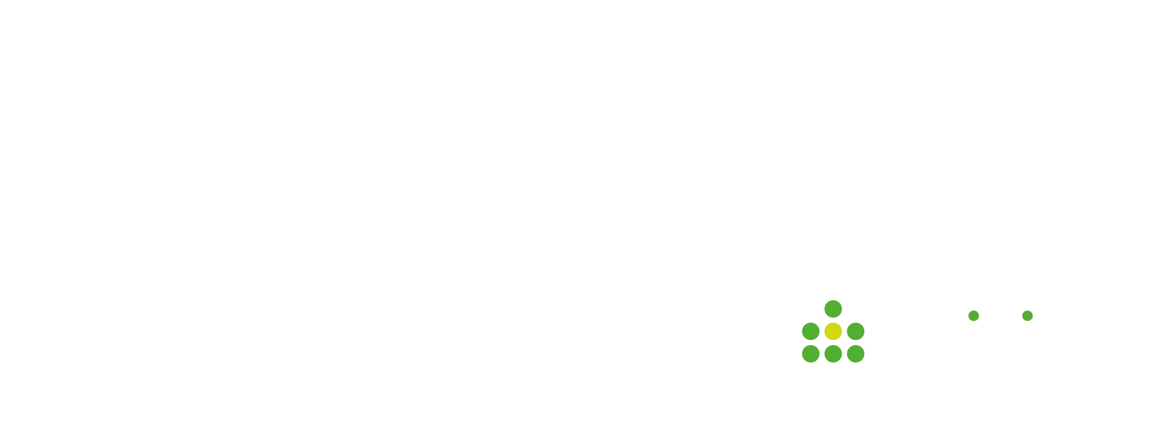 Logo Natiive by Efficity